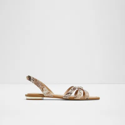 Aldo Marassita In Brown