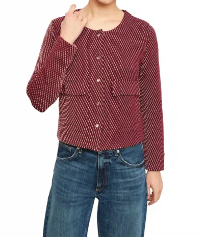 Aldo Martins Condor Round Neck Jacket In Maroon In Red