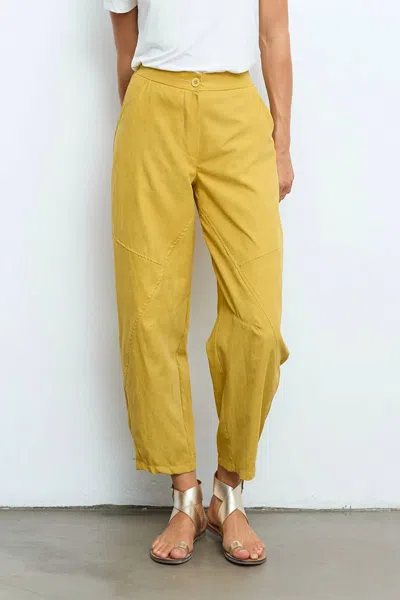 Aldo Martins Trouser Pant In Ochre In Yellow