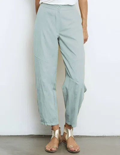 Aldo Martins Trouser Pant In Sage Green In Blue
