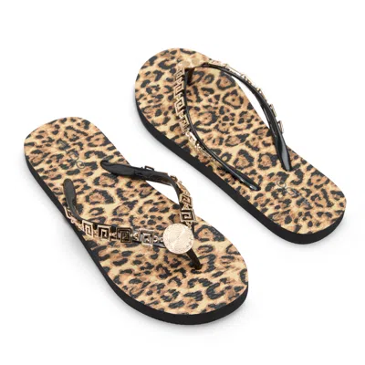 Aldo Minarie In Brown