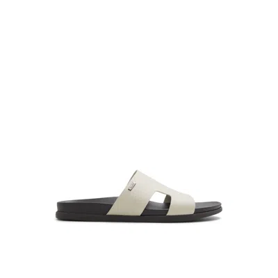 Aldo Mondi In Grey