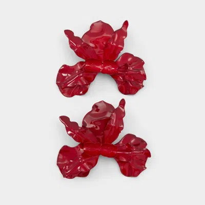 Aldo Paradisia In Burgundy