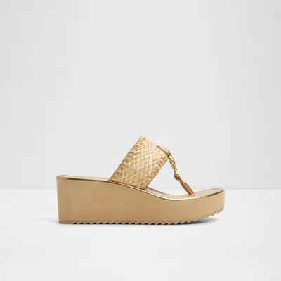 Aldo Penelopy