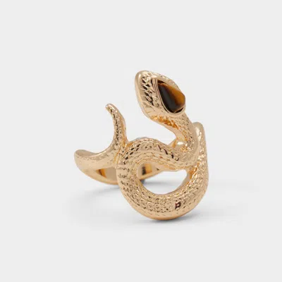 Aldo Sliterrie In Brown In Gold