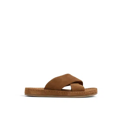 Aldo Steele In Brown