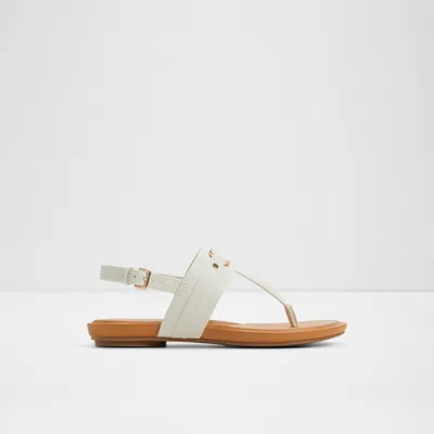Aldo Taylen In Multi
