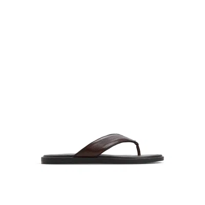 Aldo Tazzo In Brown