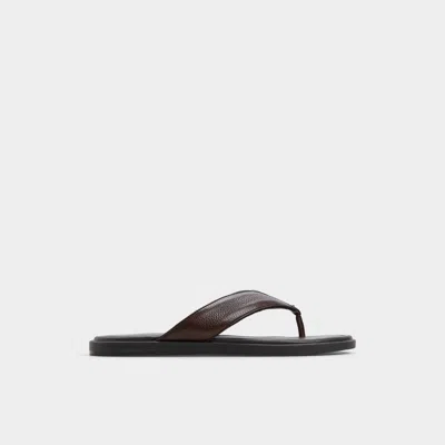Aldo Tazzo In Dark Brown In Black