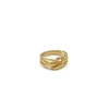 Aldo Twisties In Gold