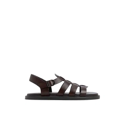 Aldo Warley In Brown