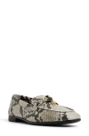 Aldo Ybilide Loafer In Multi