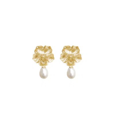 Alegoria Jewellery Women's Bavella Mini Drop Pearl Earrings - Gold