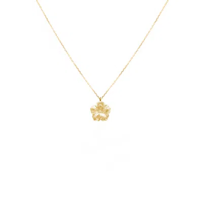Alegoria Jewellery Women's Bavella Mini Necklace - Gold