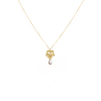 Alegoria Jewellery Women's Gold / White Bavella Mini Drop Pearl Necklace - Gold In Multi