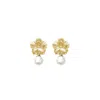 Alegoria Jewellery Women's Gold / White Bavella Mini Round Pearl Earrings - Gold In Multi