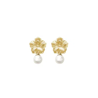 Alegoria Jewellery Women's Gold / White Bavella Mini Round Pearl Earrings - Gold In Multi