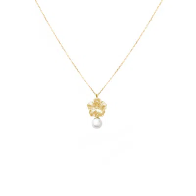 Alegoria Jewellery Women's Gold / White Bavella Mini Round Pearl Necklace - Gold In Multi