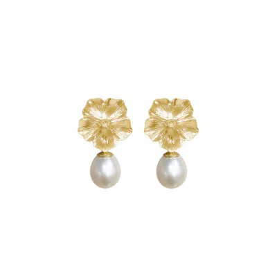 Alegoria Jewellery Women's Gold / White Bavella Pearl Earrings - Gold In Multi