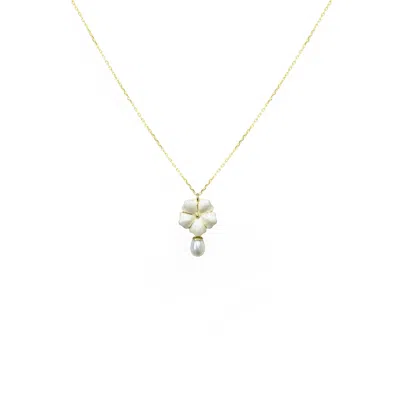 Alegoria Jewellery Women's White / Gold Bavella Mini Drop Pearl Necklace - White In Multi
