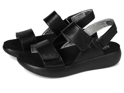 Alegria Bailee In Black