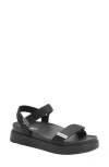 Alegria By Pg Lite Allyson Platform Sandal In Black