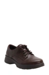 Alegria By Pg Lite Joclyn Platform Derby In Brown
