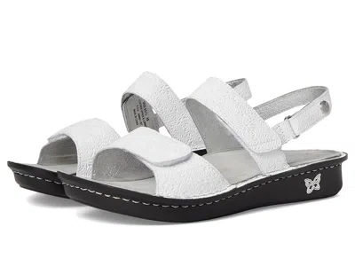 Alegria Verona In Multi
