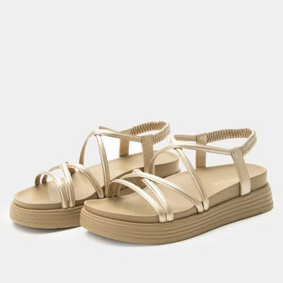 Alegria Women's Audie Sandal In Champagne In Neutral