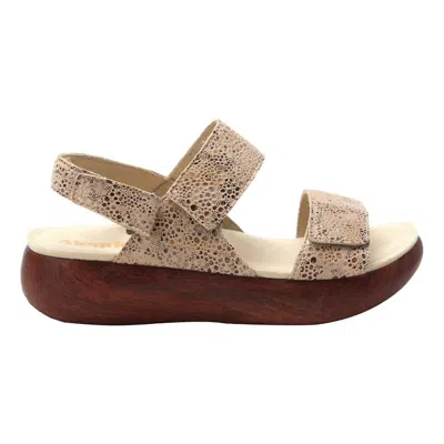 Alegria Women's Bailee Sandal In Walkway In Multi