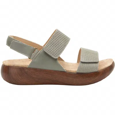 Alegria Women Bailee Sandal In Woven Sage In Gray