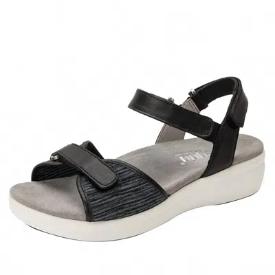 Alegria Women's Qali Sandal In Black