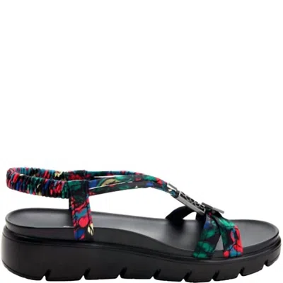 Alegria Women's Roz Sandal In Get Away Black In Multi