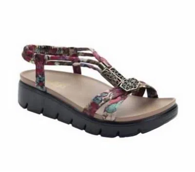 Alegria Women's Roz Slip-on Sandal In Get Away Tan Roz In Multi