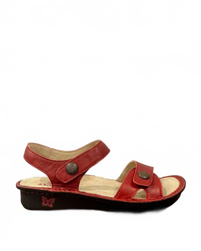 Alegria Women's Vienna Sandal In Garnet In Multi