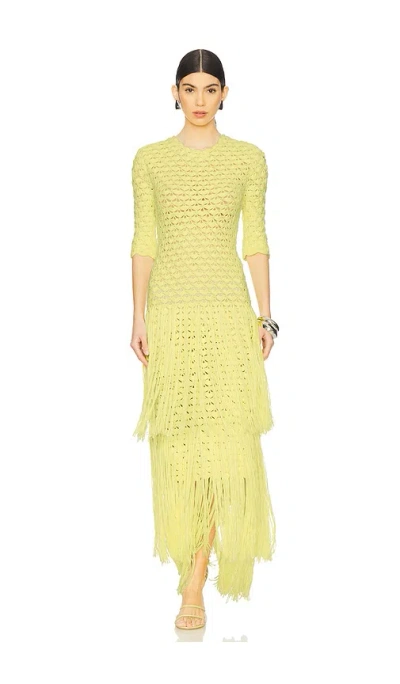 Alejandra Alonso Rojas Crochet Dress With Fringe In 黄色