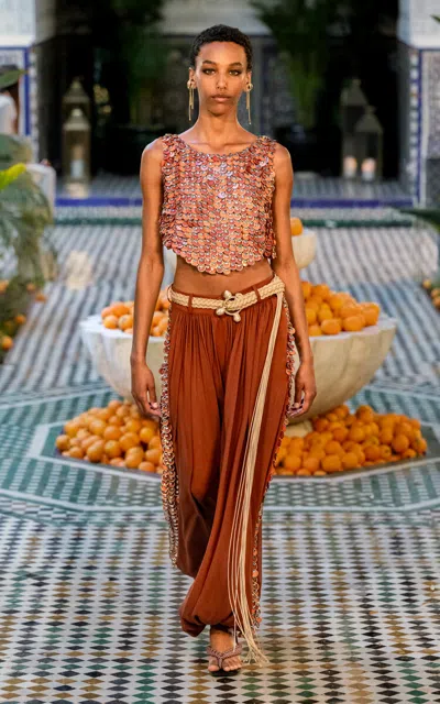 Alemais Babette Embellished Silk Georgette Pants In Brown