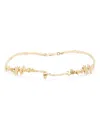 Alemais Encanto Collector Charm Necklace In Gold