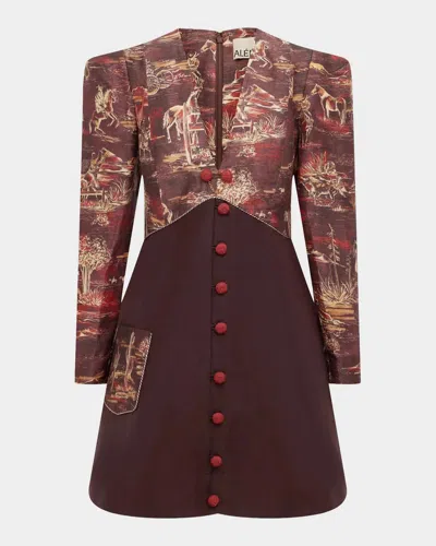 Alemais Ezra Printed Linen-blend Mini Dress In Brown