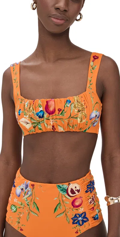 Alemais Flores Balconette Top Tangerine In Orange