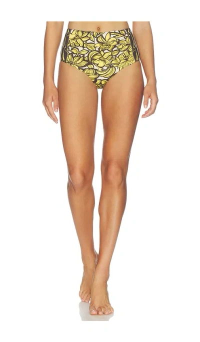 Alemais Mona High Waist Brief In Multi