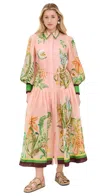 Alemais Papaya Printed Midi Shirt Dress In Pink