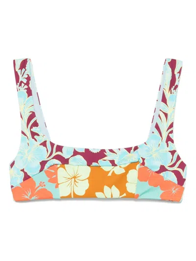 Alemais Poppy Bikini Top In Blue