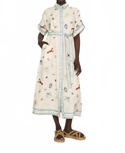 Alemais Sandy Embroidered Shirt Dress In Ivory Multi In White