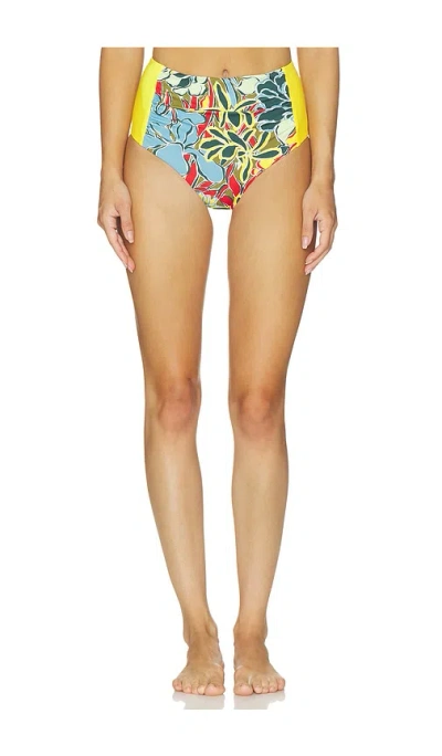 Alemais Solstice Mid Rise Brief In Multi