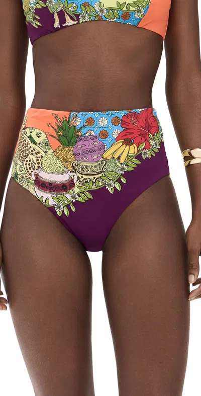 Alemais Tiger High Waisted Briefs Multi In Purple
