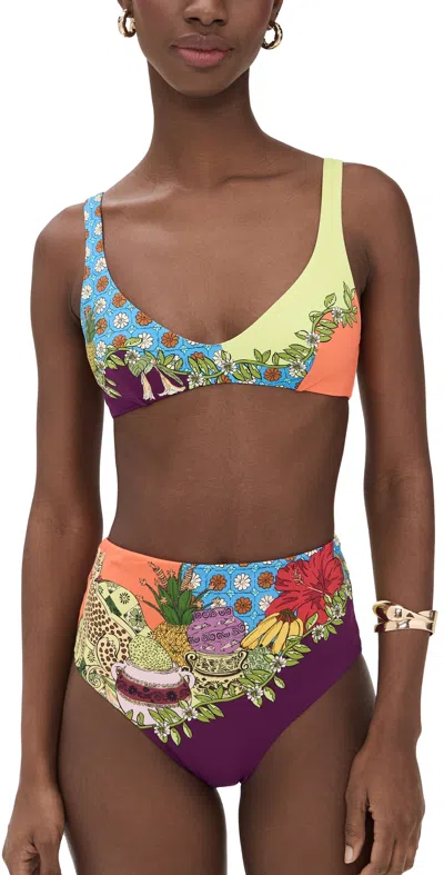 Alemais Tiger Scoop Neck Top Multi