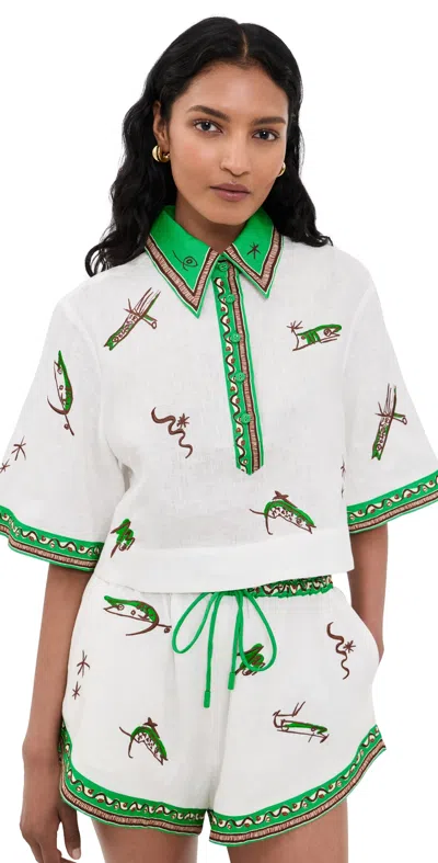 Alemais Pointed Collar Linen Shirt With Half Placket In Green