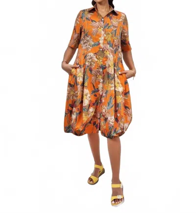 Alembika Barb Cotton Shirtdress In Garden In Multi
