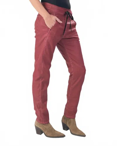 Alembika Pinstripe Iconic Stretch Jeans In Wine In Purple